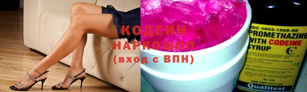 индика Тайга