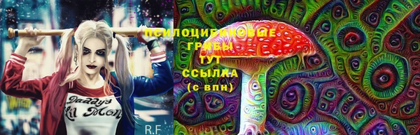 МДПВ Зеленодольск