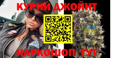 индика Моздок