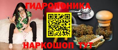 индика Моздок